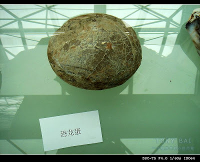 Image 11: http://farm1.static.flickr.com/175/377206032_be691a9251.jpg?v=0